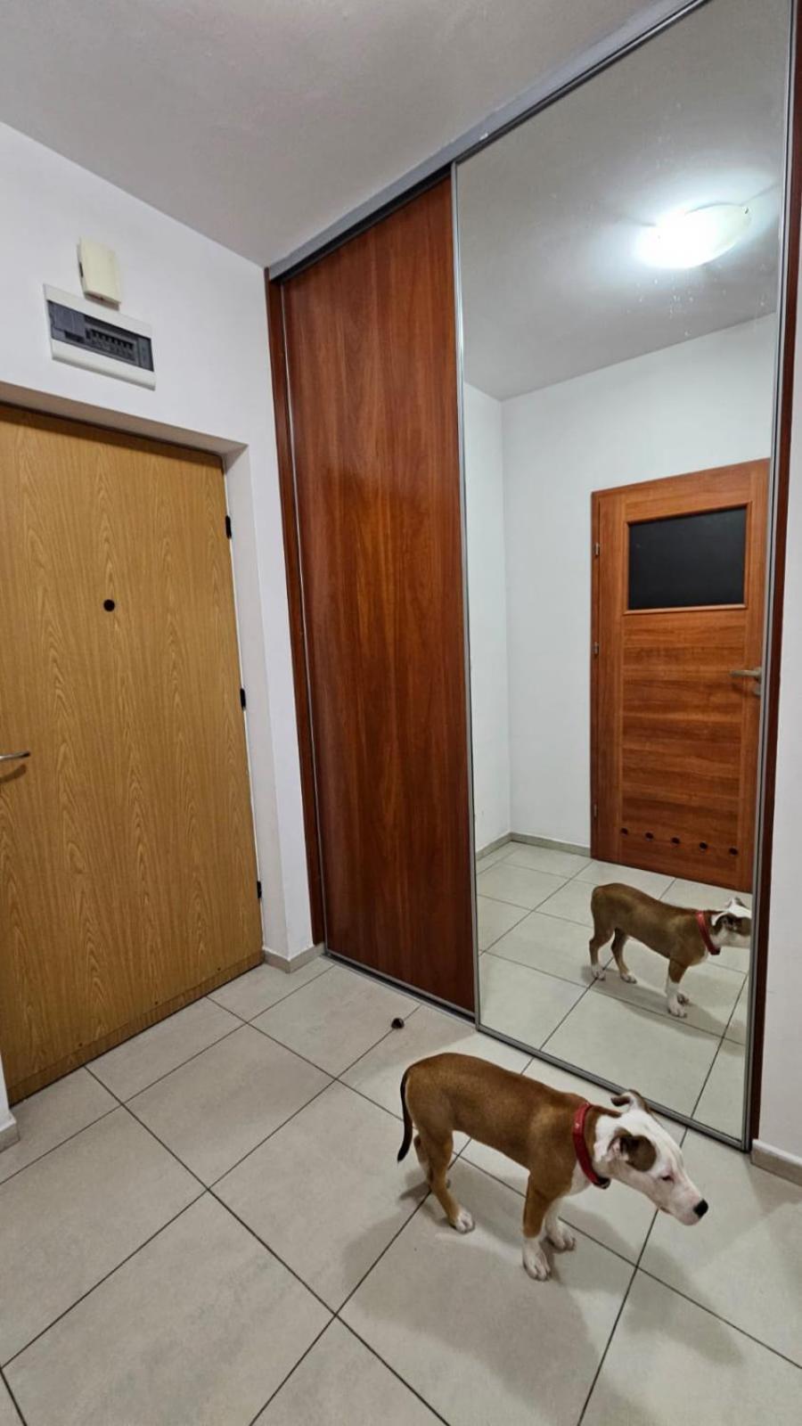 Apartament Lipinskiego Kraków Eksteriør billede