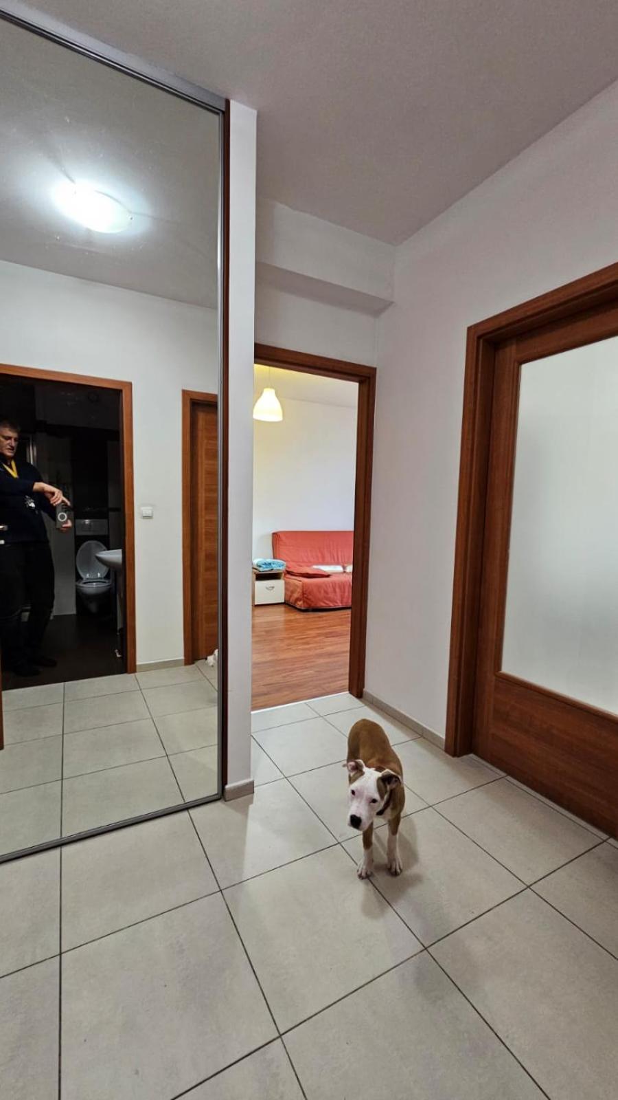 Apartament Lipinskiego Kraków Eksteriør billede