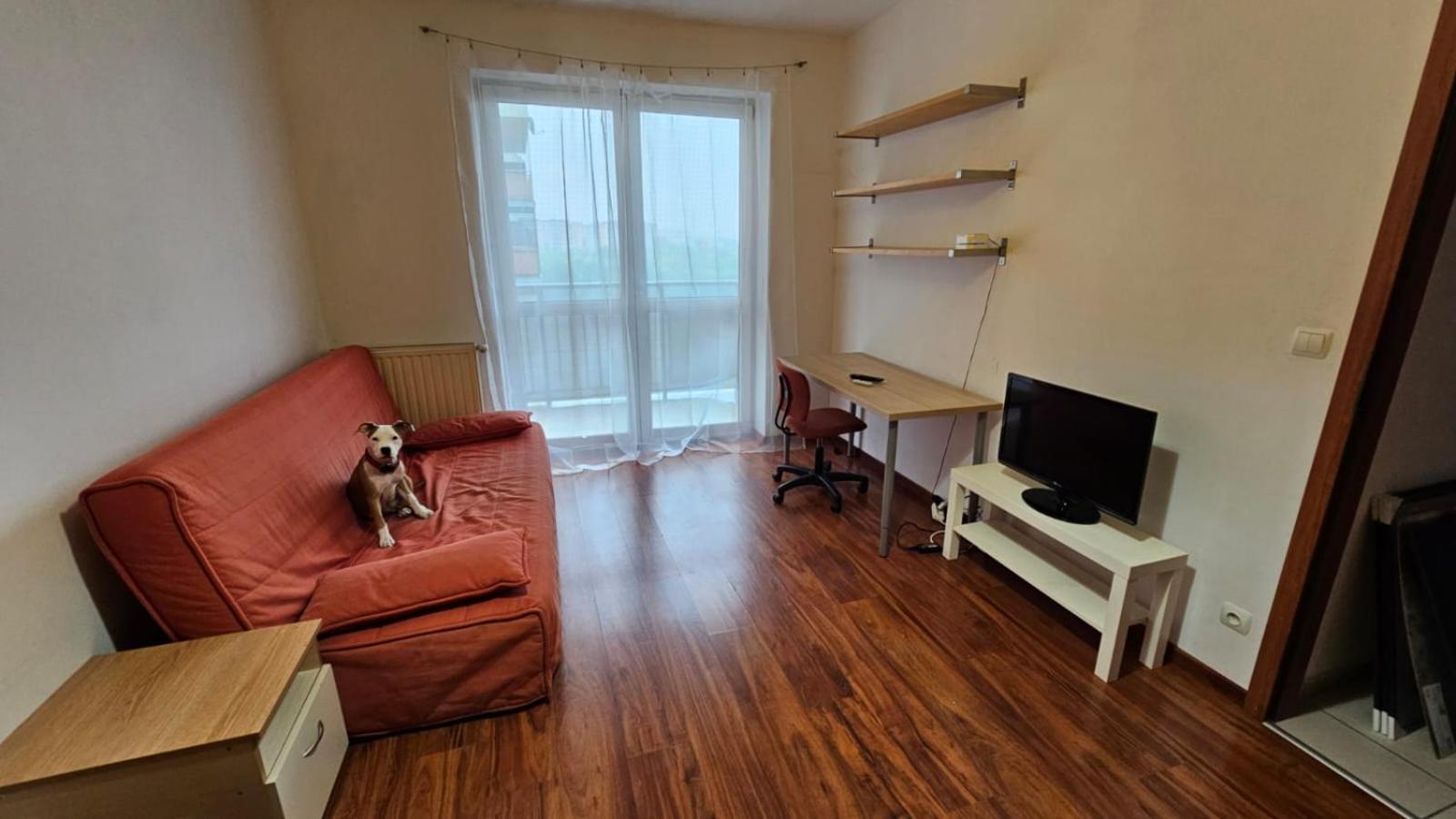 Apartament Lipinskiego Kraków Eksteriør billede