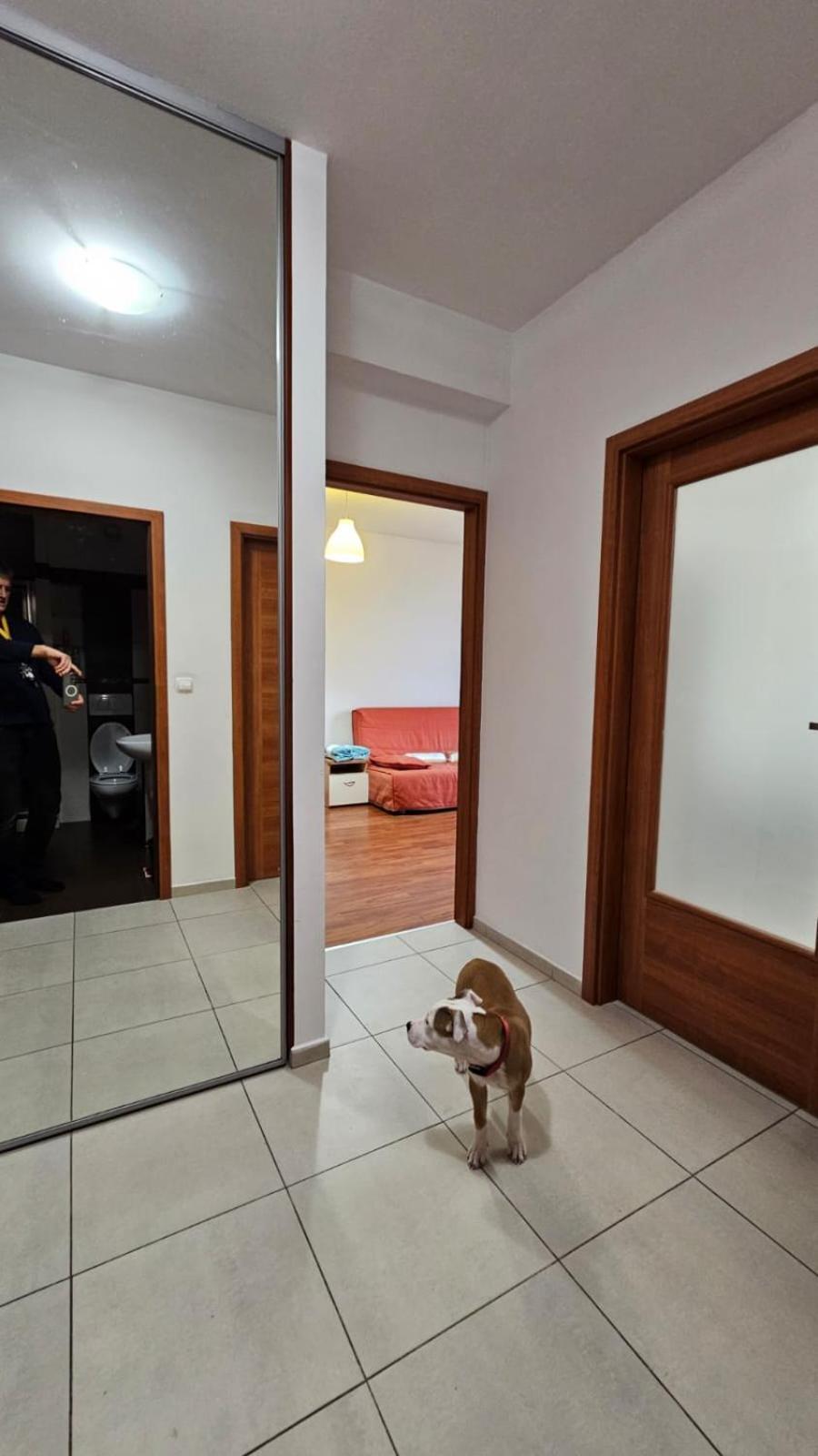 Apartament Lipinskiego Kraków Eksteriør billede