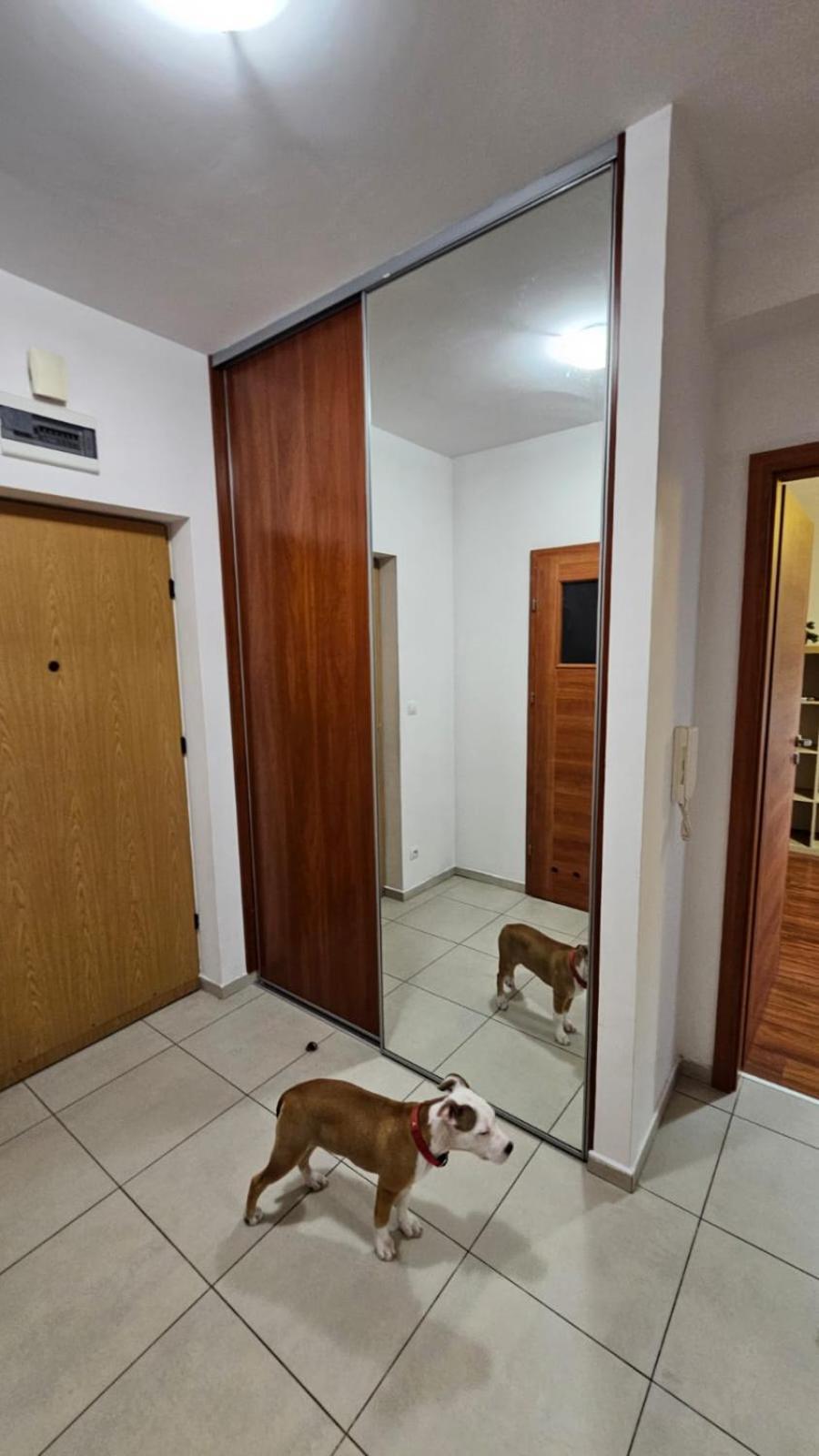 Apartament Lipinskiego Kraków Eksteriør billede