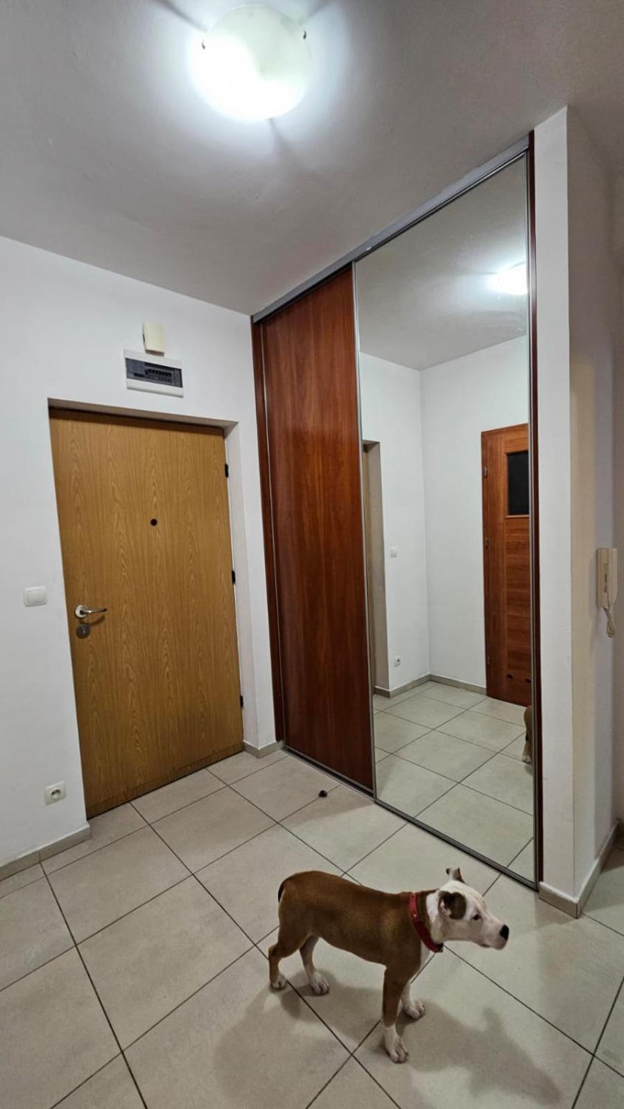 Apartament Lipinskiego Kraków Eksteriør billede