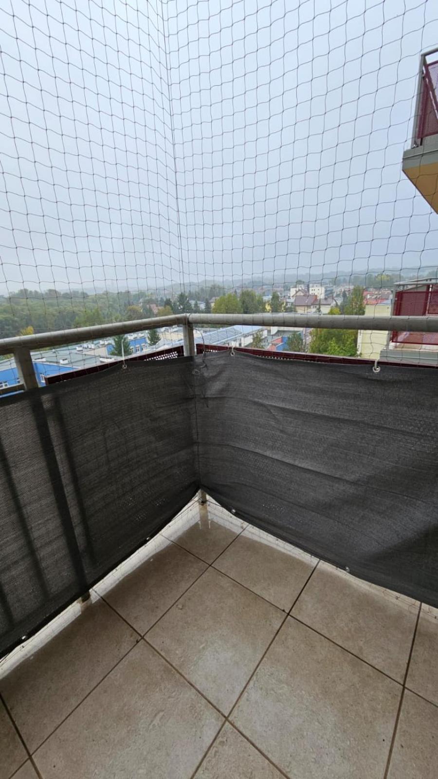 Apartament Lipinskiego Kraków Eksteriør billede