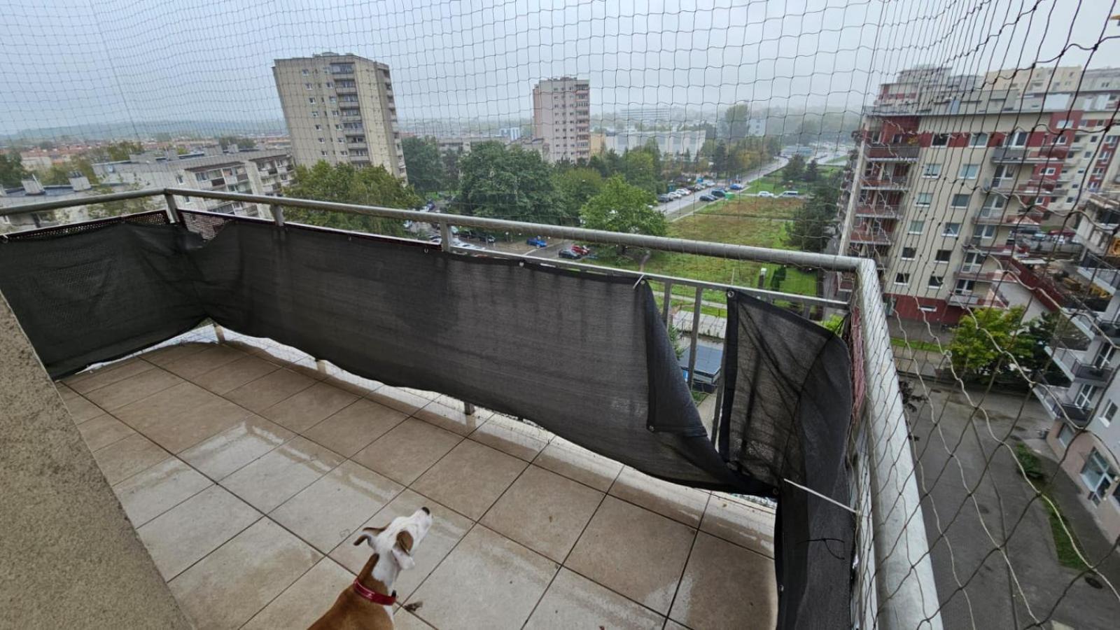 Apartament Lipinskiego Kraków Eksteriør billede