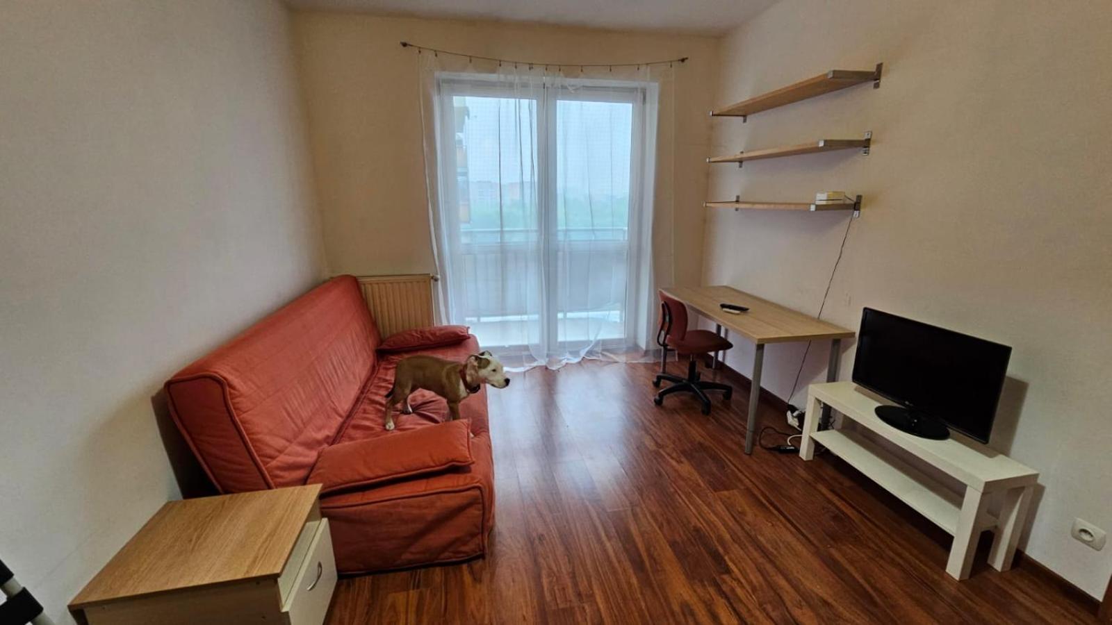 Apartament Lipinskiego Kraków Eksteriør billede