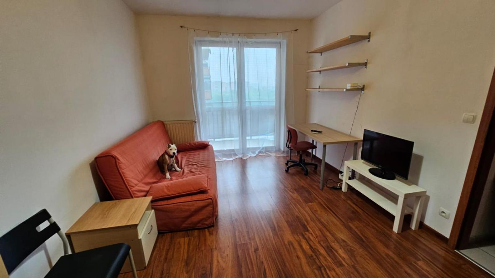 Apartament Lipinskiego Kraków Eksteriør billede