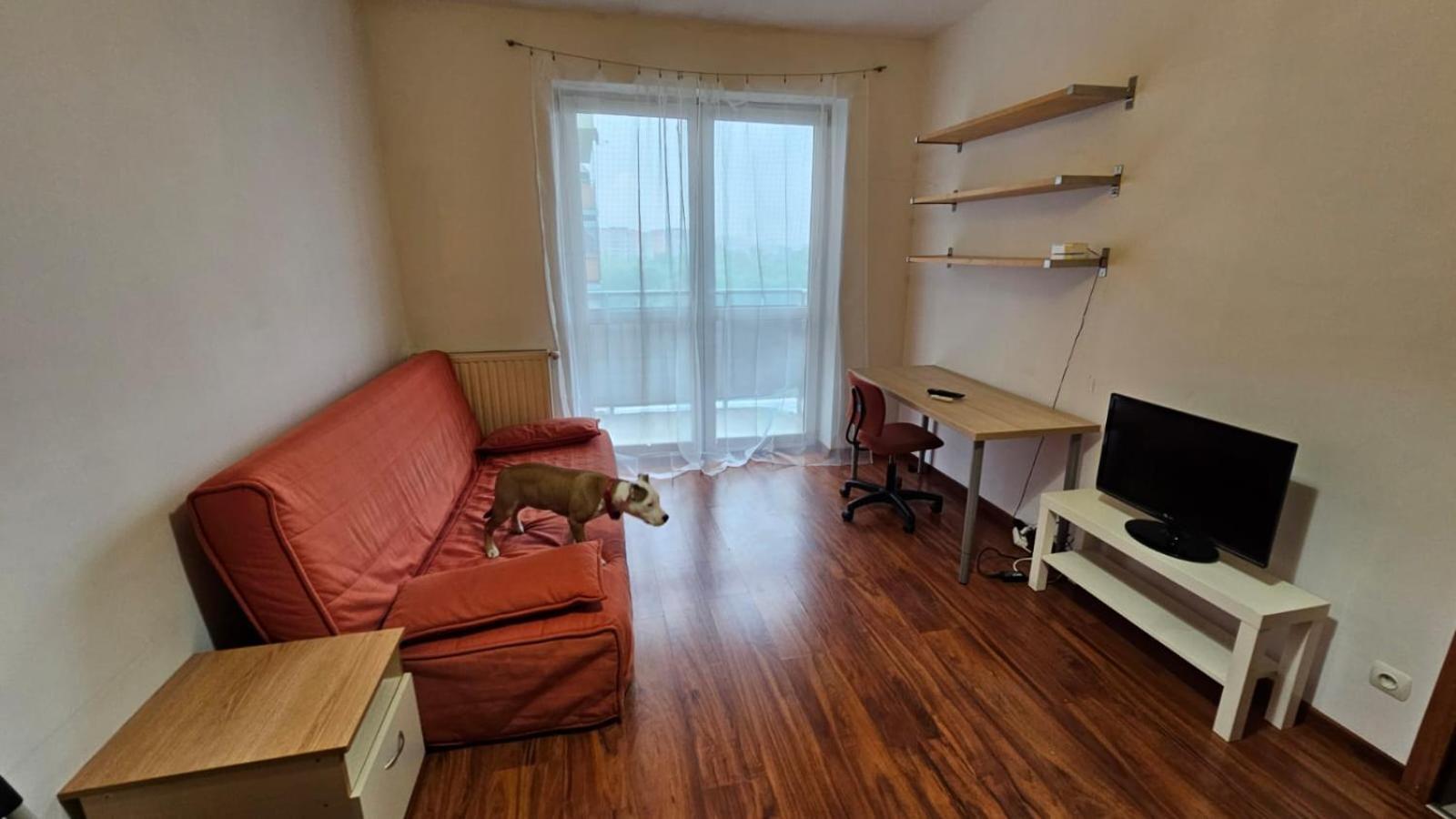 Apartament Lipinskiego Kraków Eksteriør billede
